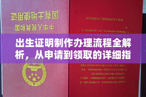 丹凤出生证明制作办理流程全解析，从申请到领取的详细指南